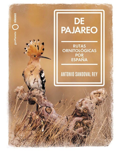 Imagen 1 de De pajareo: Rutas ornitológicas por España  (Tapa blanda)