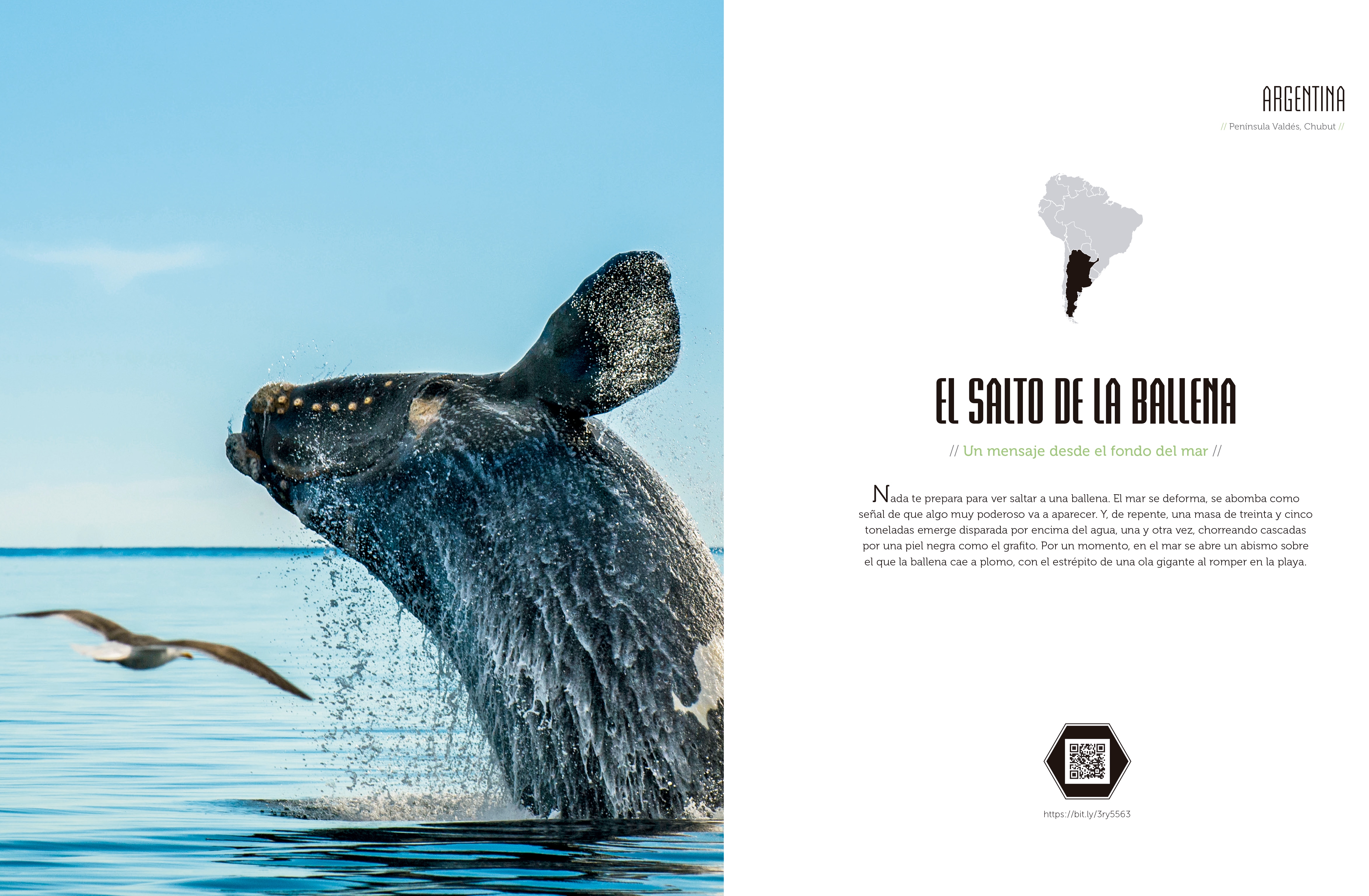 Sonidos del mundo: Viajar de oídas  (Tapa blanda con solapas) 3
