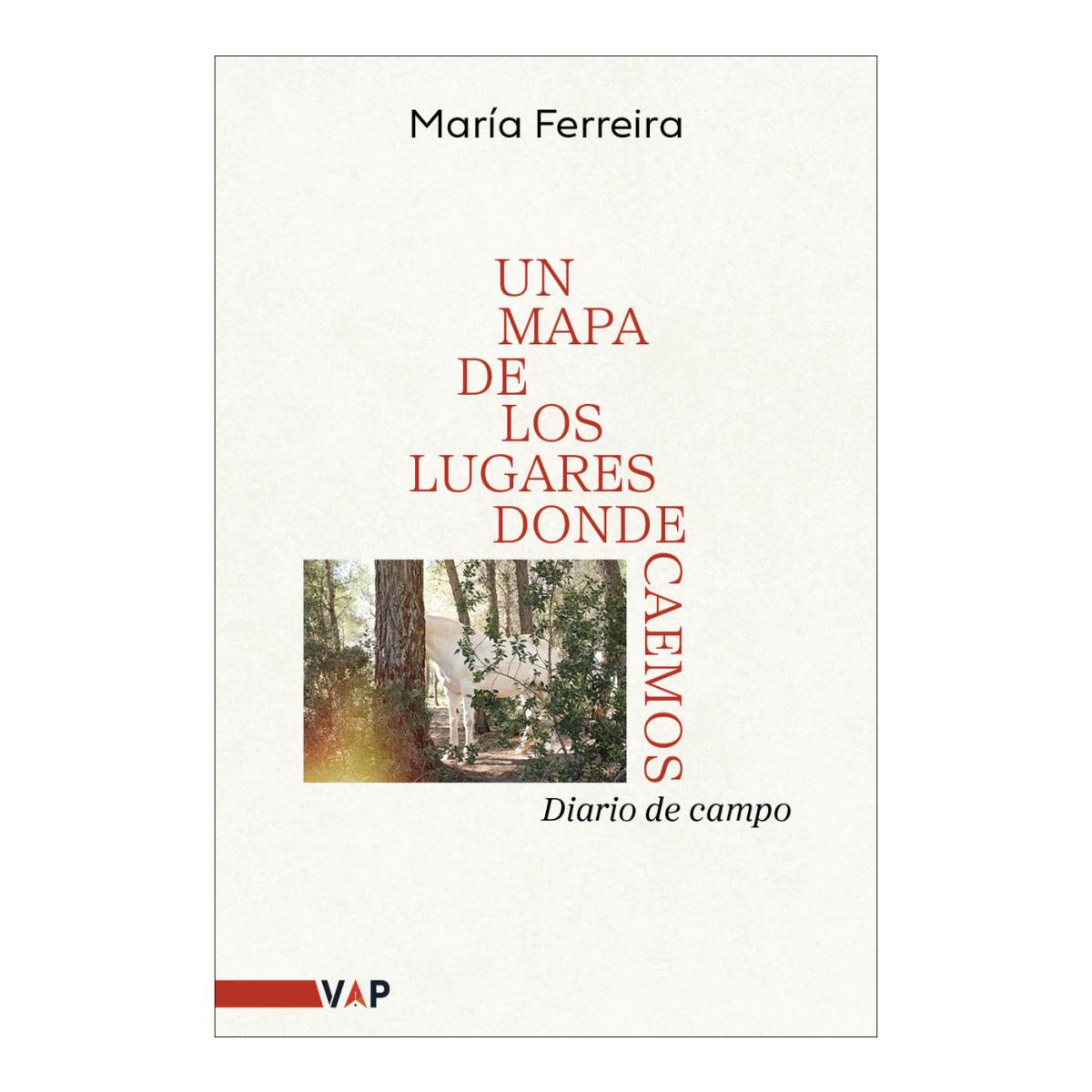 Imagem 0 de Un mapa de los lugares donde caemos