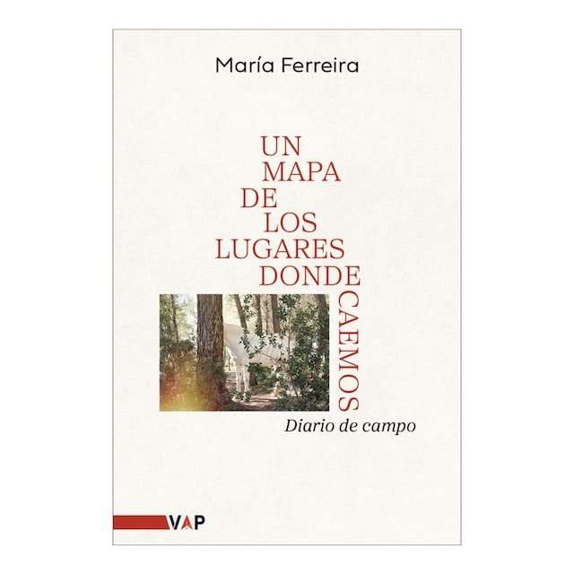 Imagem 0 de Un mapa de los lugares donde caemos