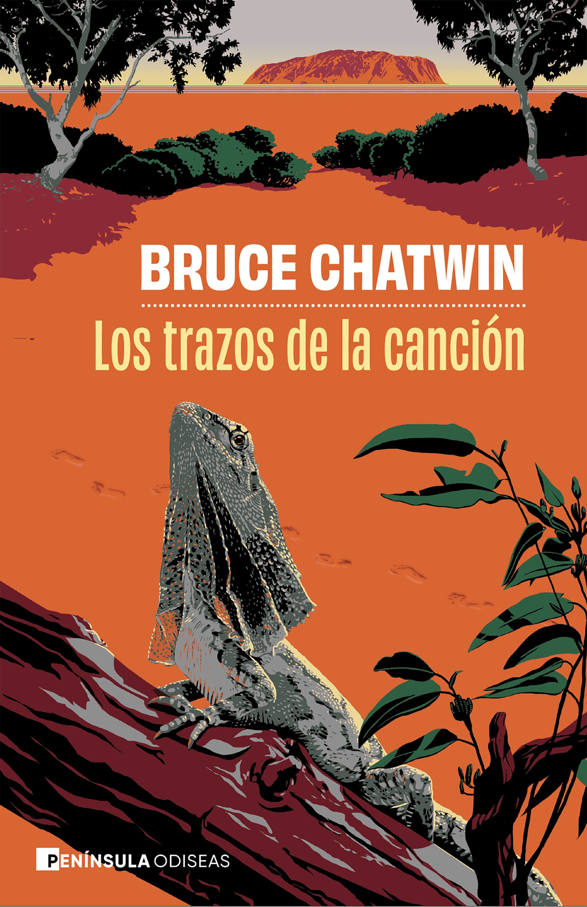 Imagem 0 de LOS TRAZOS DE LA CANCIÓN  (Capa Mole com Lapelas)