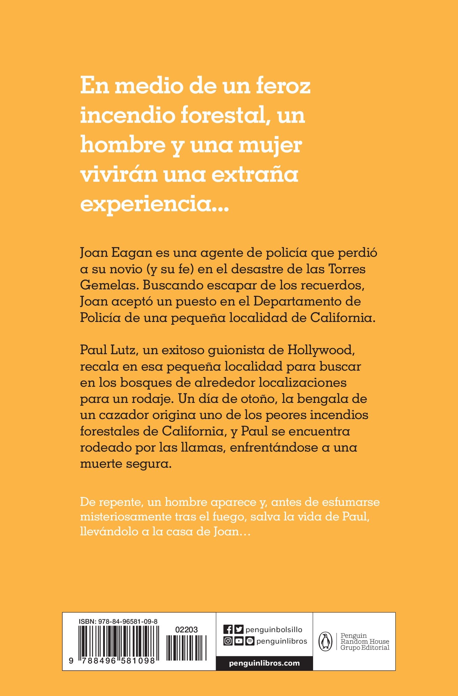 En llamas (Bolsillo) (Tapa blanda) 2