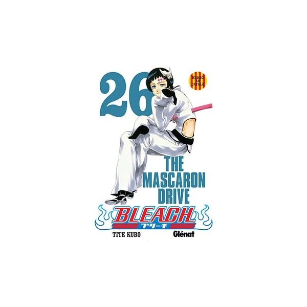 Bleach nº26