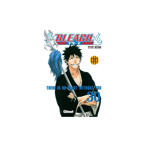 Imagem 0 de Bleach Nº30