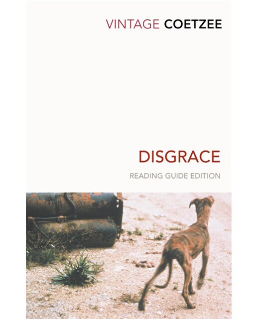 Imagem 0 de Disgrace