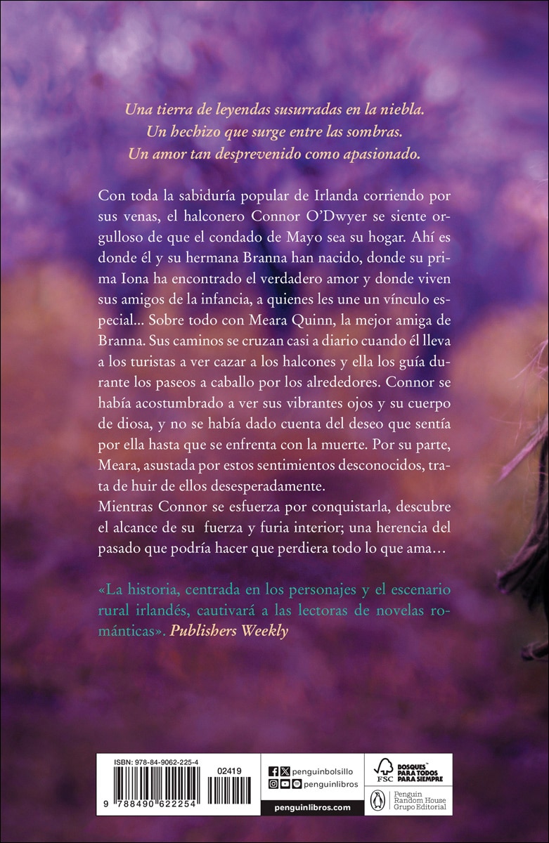 Hechizo en la niebla (Trilogía de los O'Dwyer 2) (Capa mole) 2
