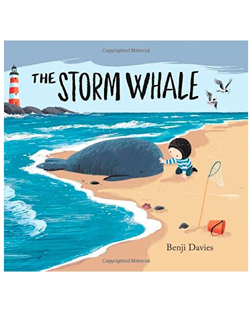 The Storm Whale 1