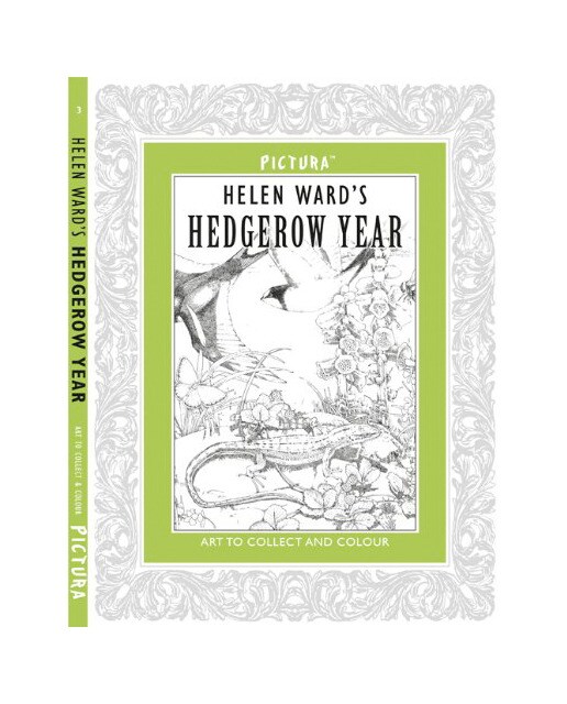 Pictura - Helen Ward's A Hedgerow Year 1