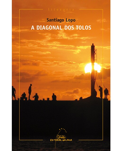 A diagonal dos tolos (Premio de Narrativa Repsol 2014) (Capa mole com abas) 1