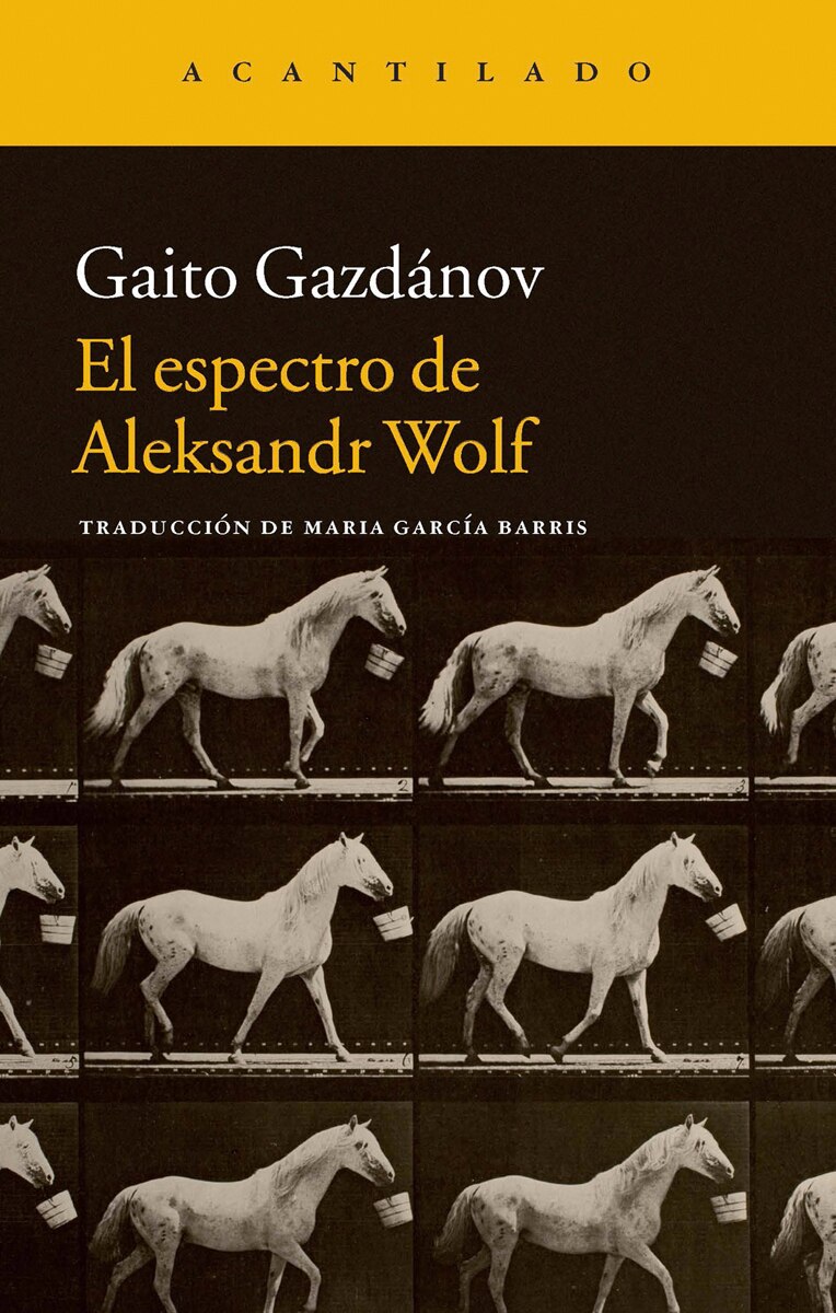 Imagem 0 de El Espectro De Aleksandr Wolf