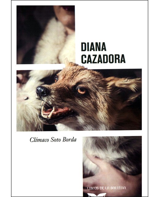 Imagen 0 de Diana cazadora