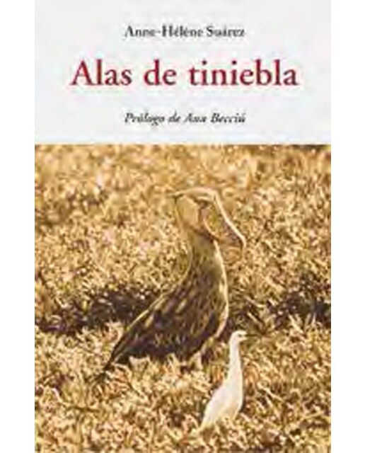 Alas de tiniebla (Tapa blanda) 1
