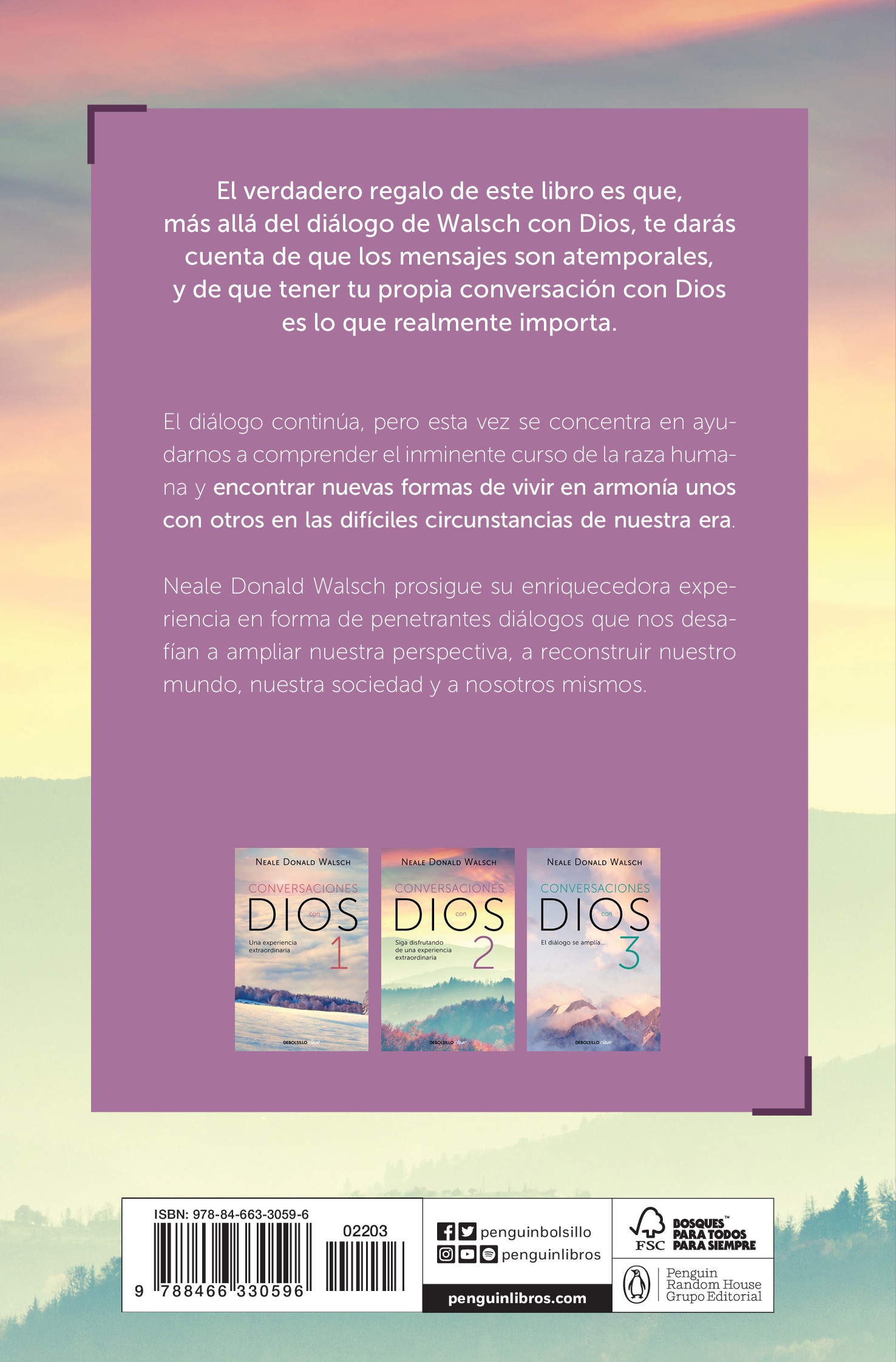 Imagen 2 de El diálogo continúa (Conversaciones con Dios 2): Siga disfrutando de una experiencia extraordinaria  (Bolsillo) (Tapa blanda)