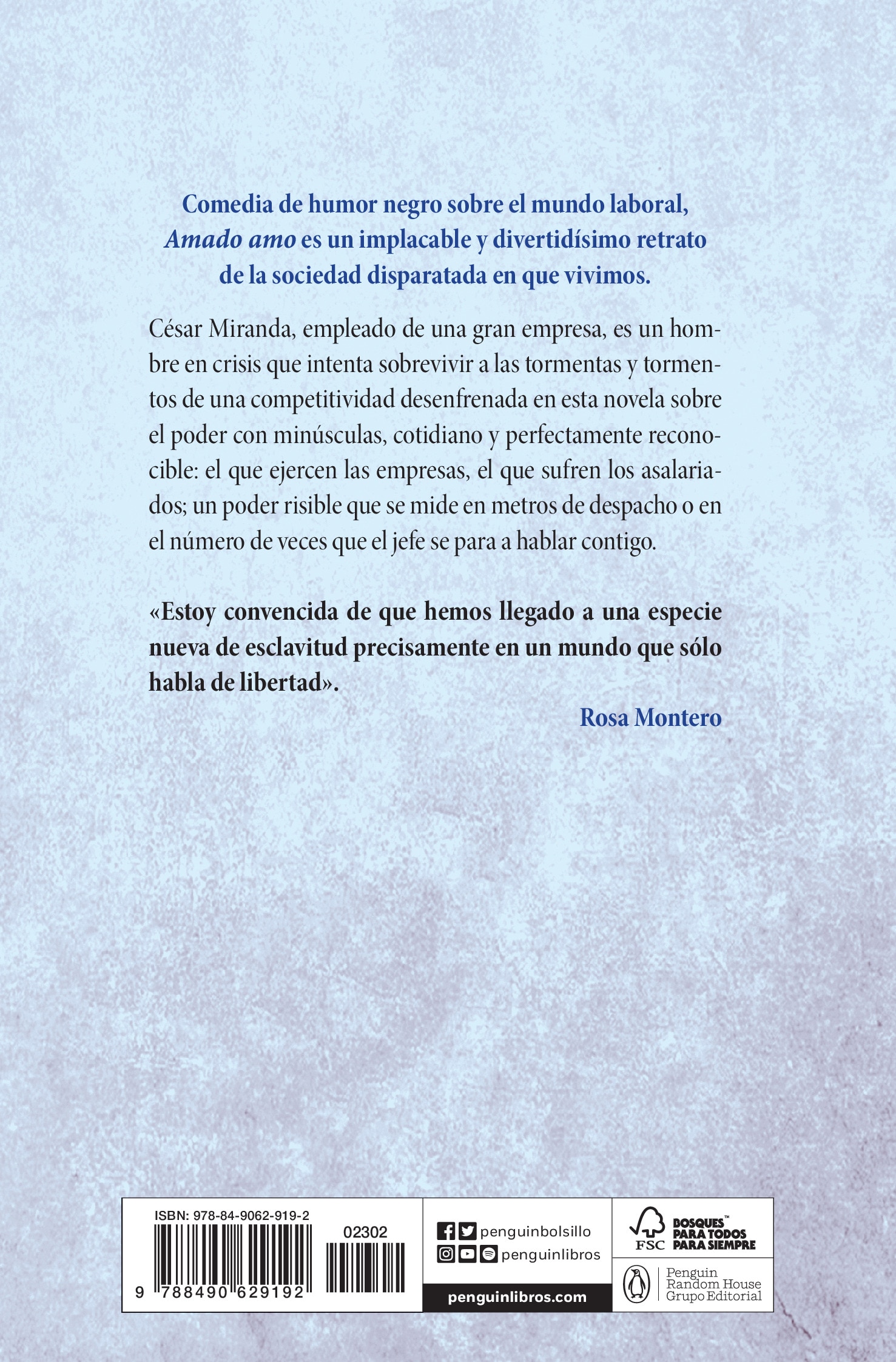 Amado amo(Bolsillo) (Tapa blanda) 2