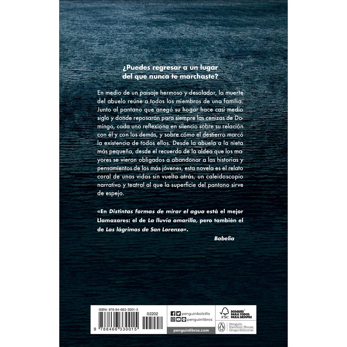 Distintas formas de mirar el agua(Tapa blanda) 2