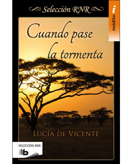 Cuando pase la tormenta(Bolsillo) (Tapa blanda) 1