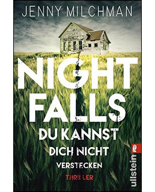 Night falls 1