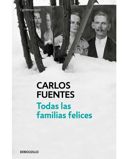 Todas las familias felices (Bolsillo) (Tapa blanda) 1