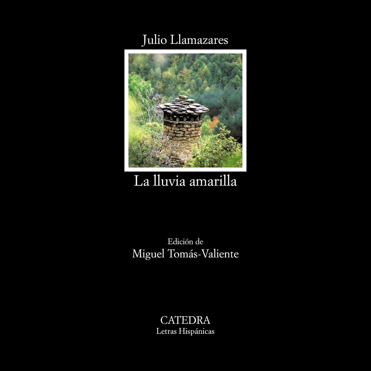 Imagem 0 de La lluvia amarilla(Bolsillo) (Tapa blanda)