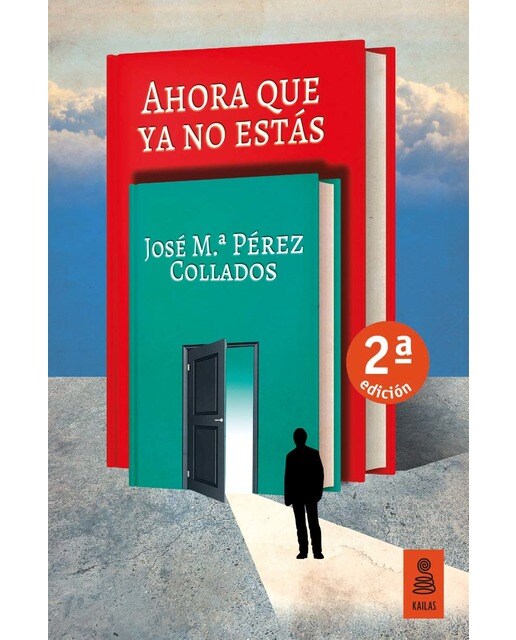 Imagen 0 de Ahora que ya no est‡s  (Tapa blanda con solapas)
