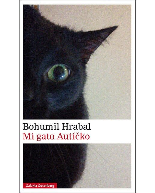 Imagen 0 de Mi gato autícko (Bolsillo) (Tapa dura)