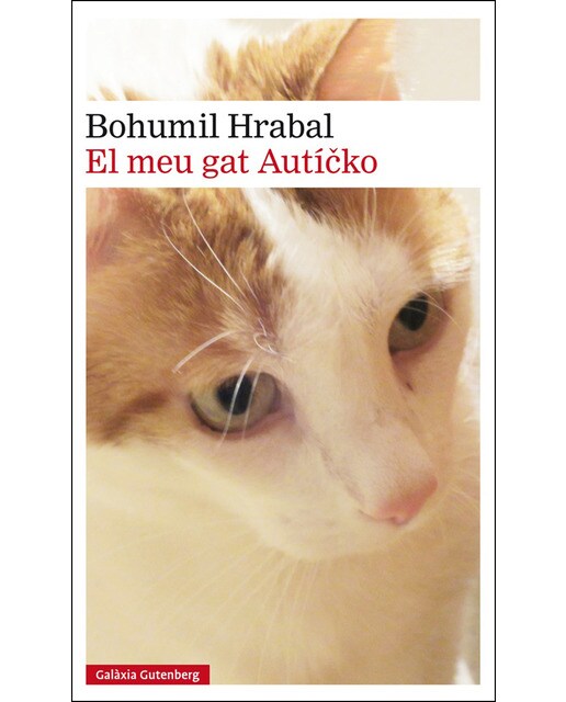 El meu gat autícko(Bolsillo) (Tapa dura) 1