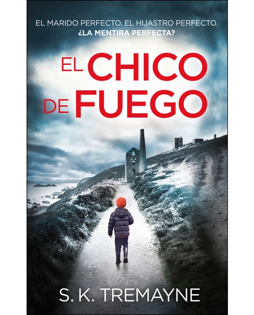 Imagen 0 de El chico de fuego