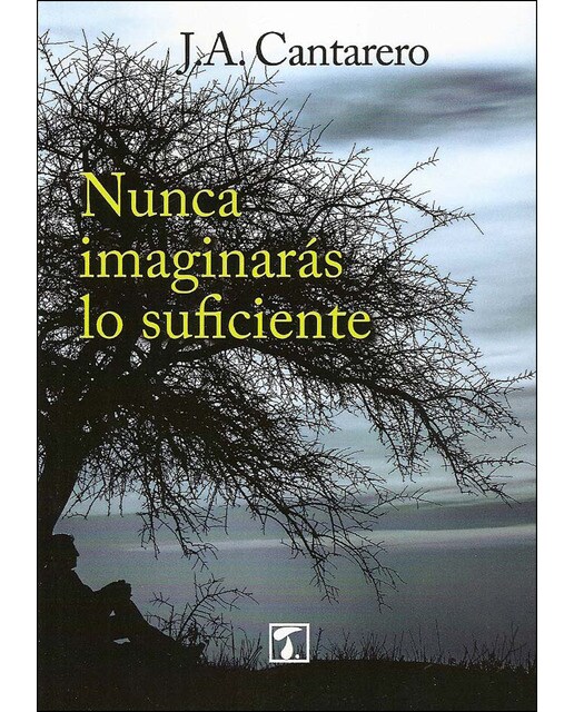 Nunca imaginarás lo suficiente