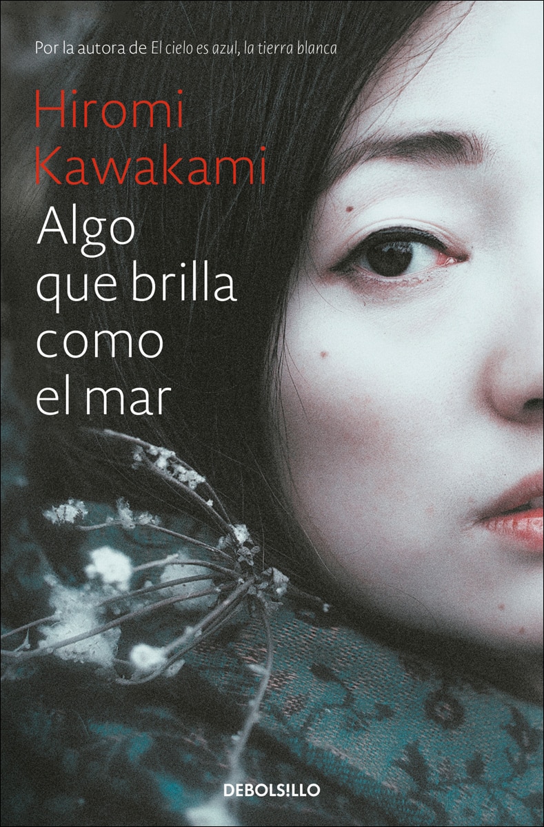 Algo que brilla como el mar (Bolsillo) (Tapa blanda) 1