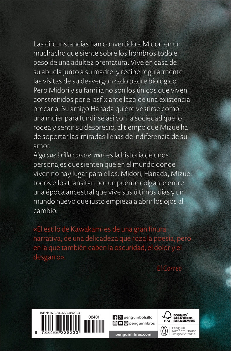 Algo que brilla como el mar (Bolsillo) (Tapa blanda) 2