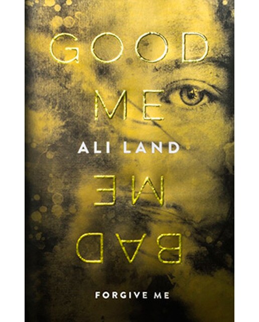 Good Me Bad Me 1