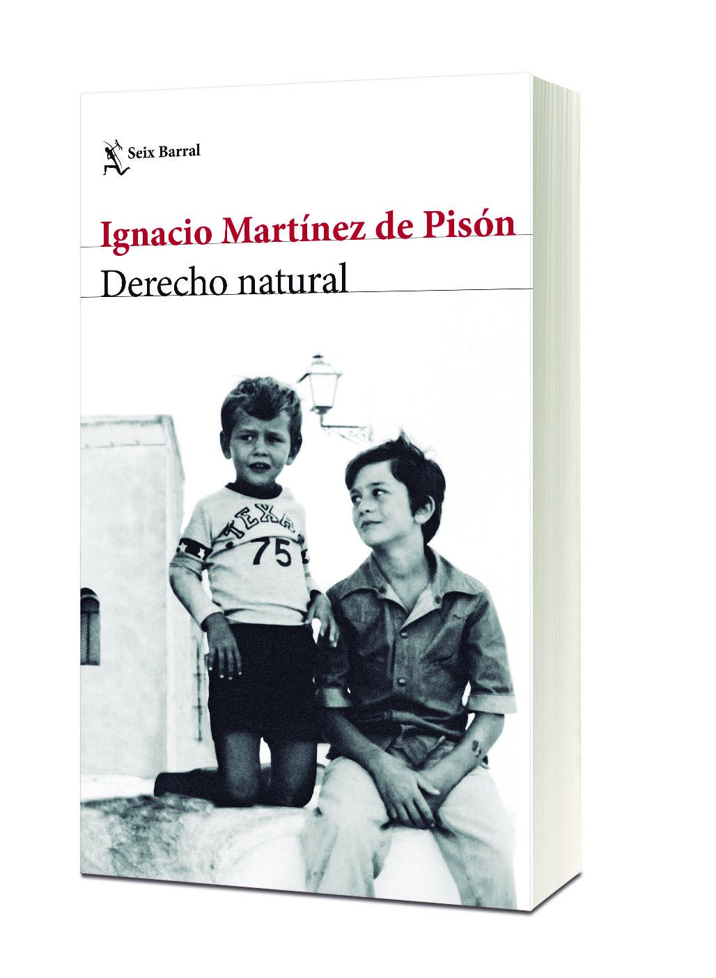 Derecho natural  (Tapa blanda Bolsillo) 2