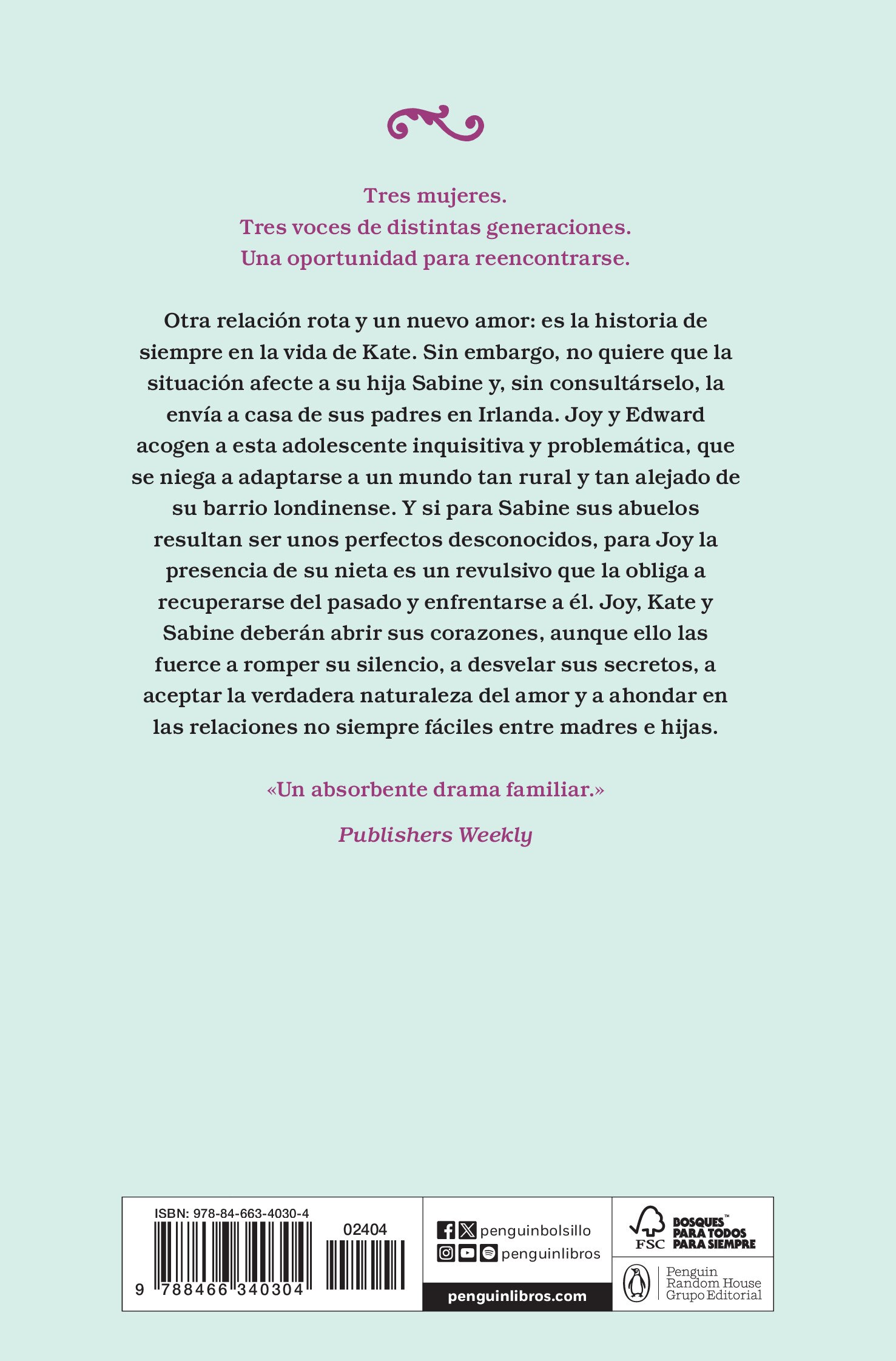 Regreso a Irlanda (Bolso) (Capa mole) 2