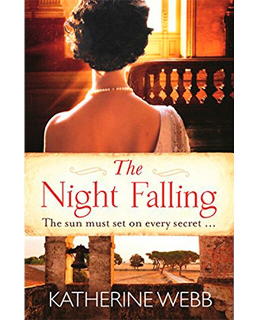 Imagen 0 de The night falling