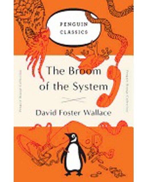 The Broom Of The System 1