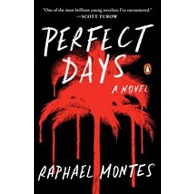 Perfect Days 1