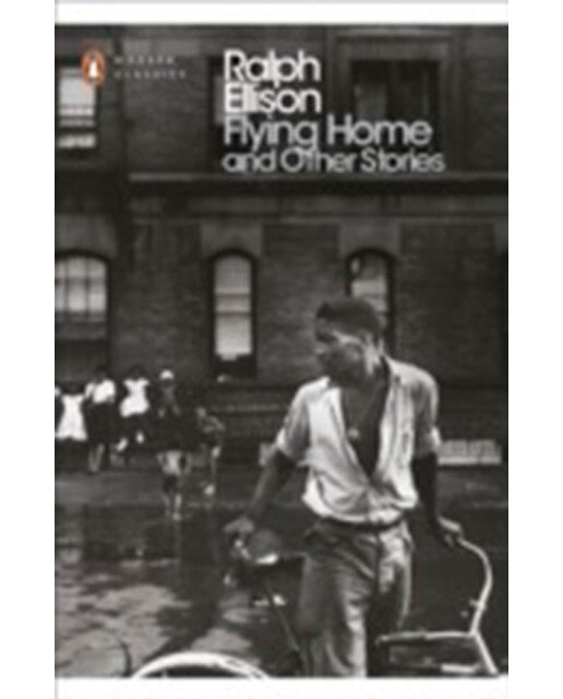 Flying home and other stories 1