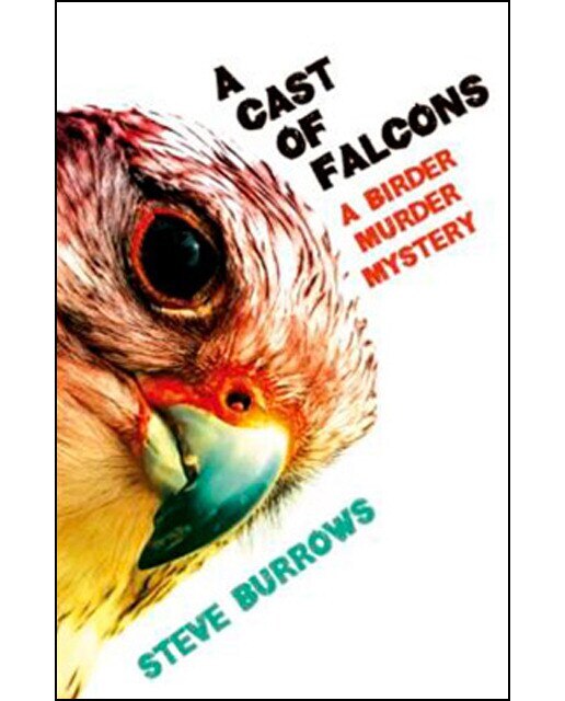 A Cast Of Falcons - Book 3 1