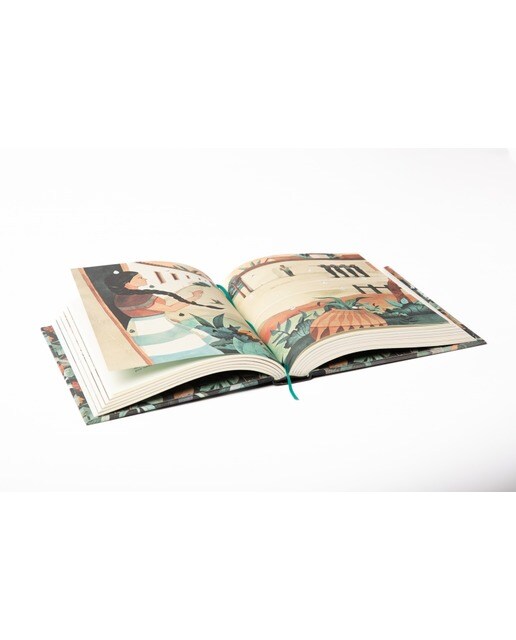 Cien años de soledad (edición ilustrada) (Tapa dura) 13