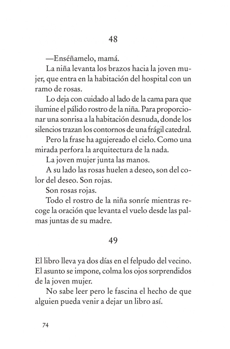 Kant y el vestido rojo(Bolsillo) (Tapa dura) 5