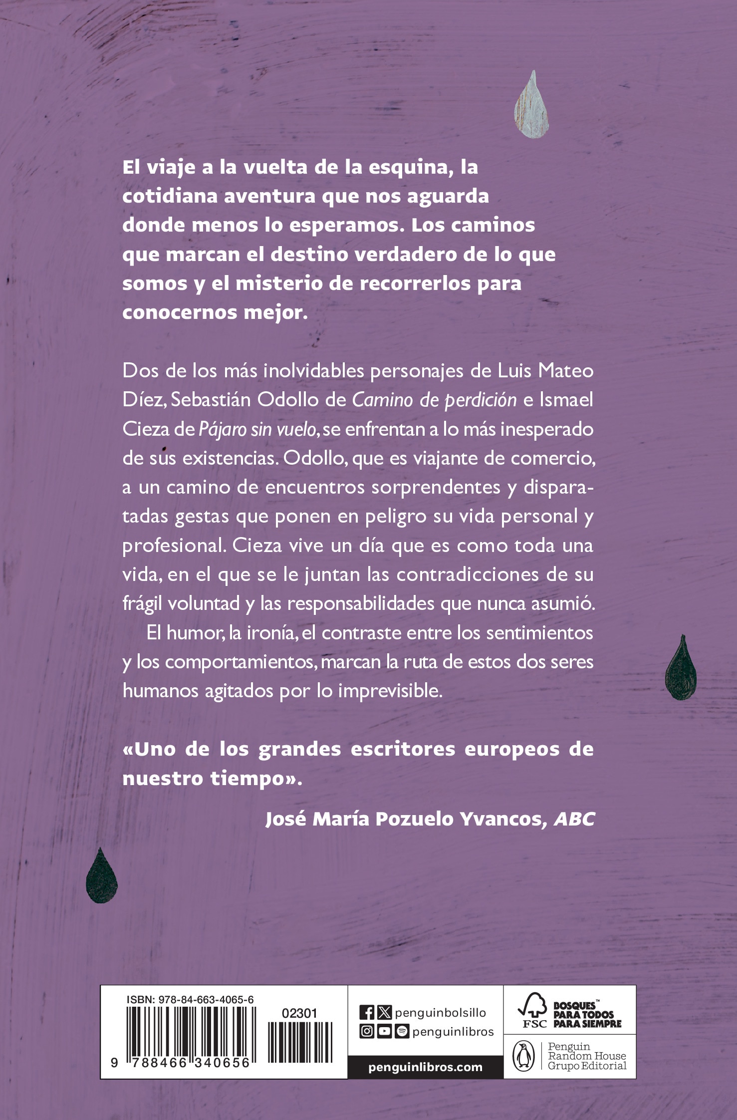 Los viajes cotidianos: Camino de perdición | Pájaro sin vuelo (Bolsillo) (Tapa blanda) 2