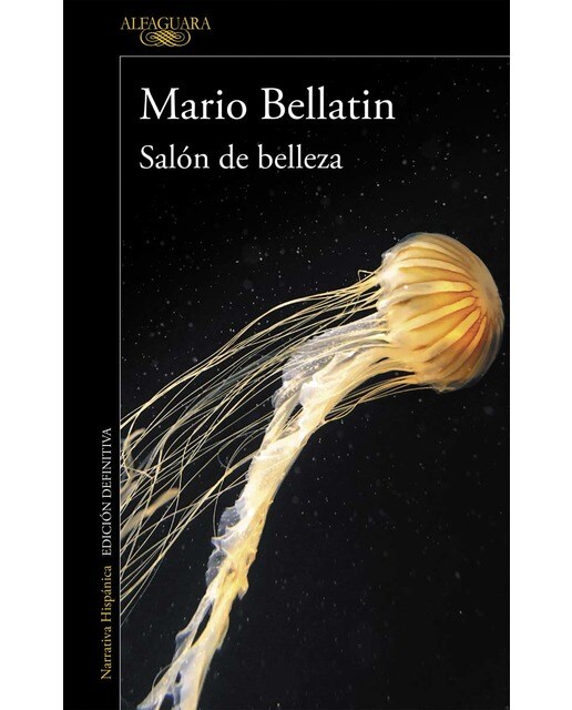 Salón de belleza (Mapa de las lenguas) (Capa mole) 1