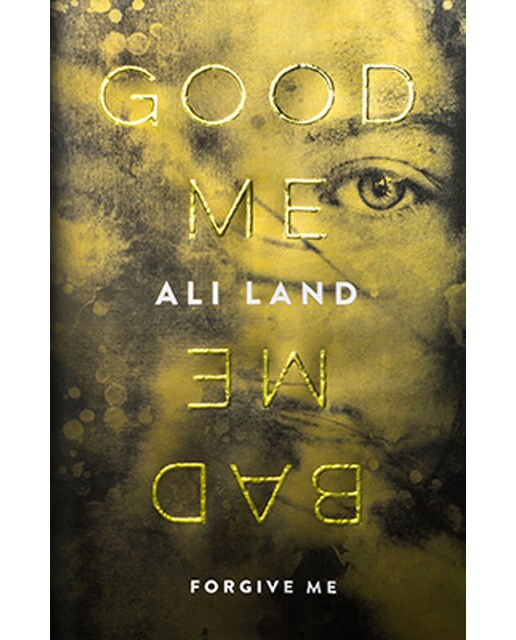 Good Me Bad Me 1