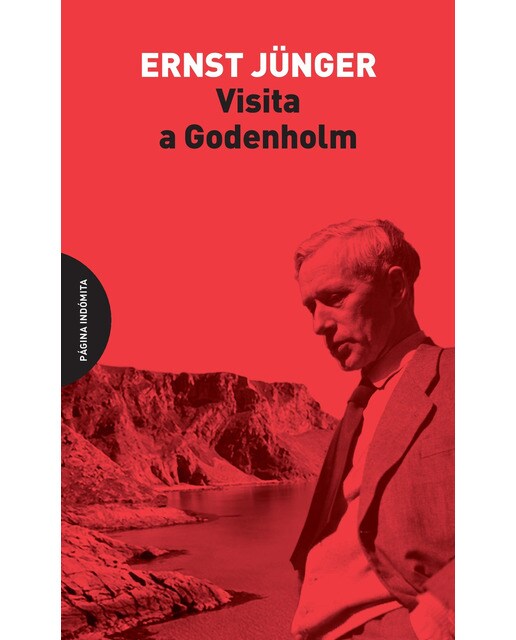 Visita a Godenholm (Tapa blanda) 1