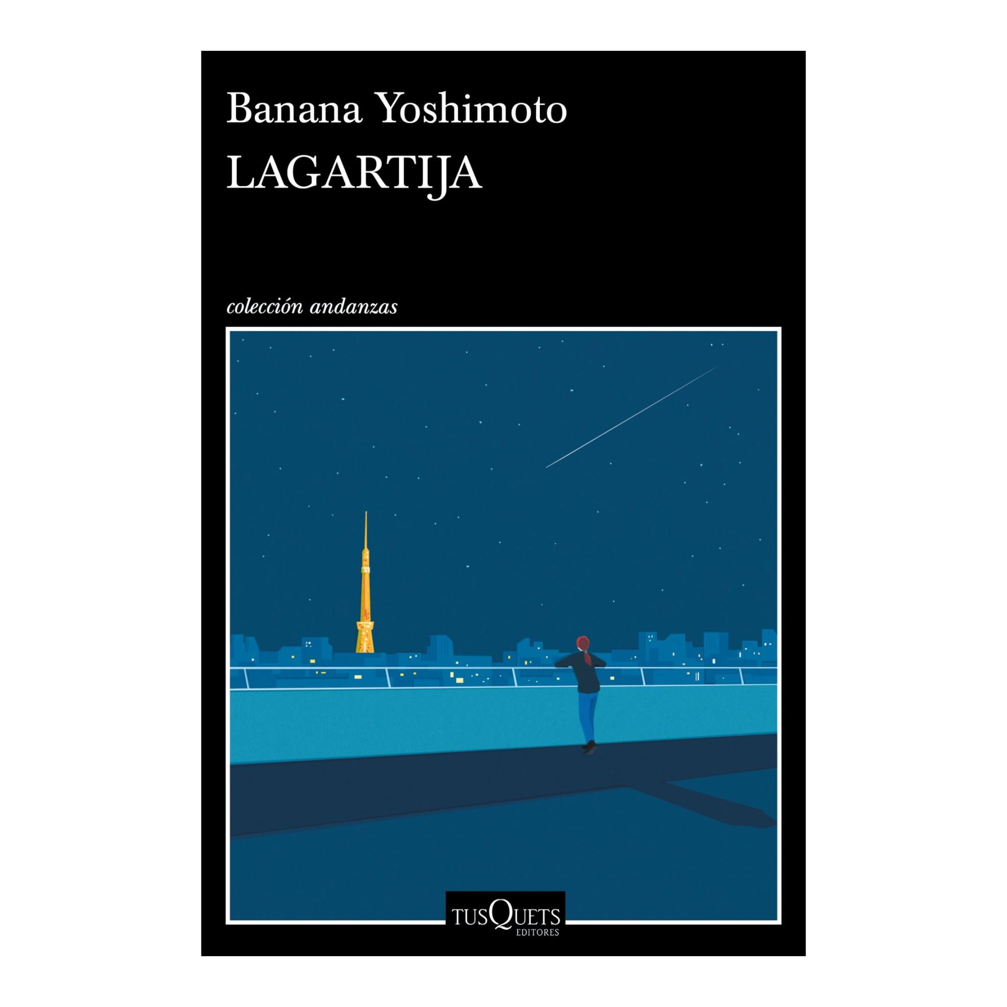 Imagen 1 de Lagartija  (Tapa blanda con solapas)