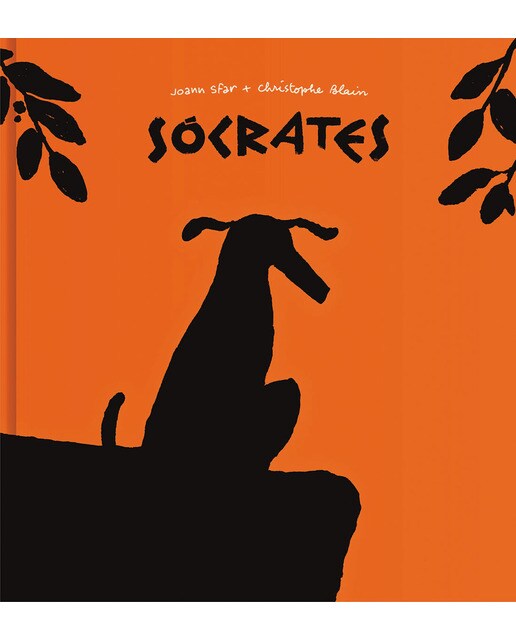Imagem 0 de Sócrates(Tapa dura)