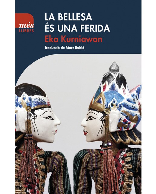 Imagen 0 de La bellesa és una ferida (Tapa blanda)
