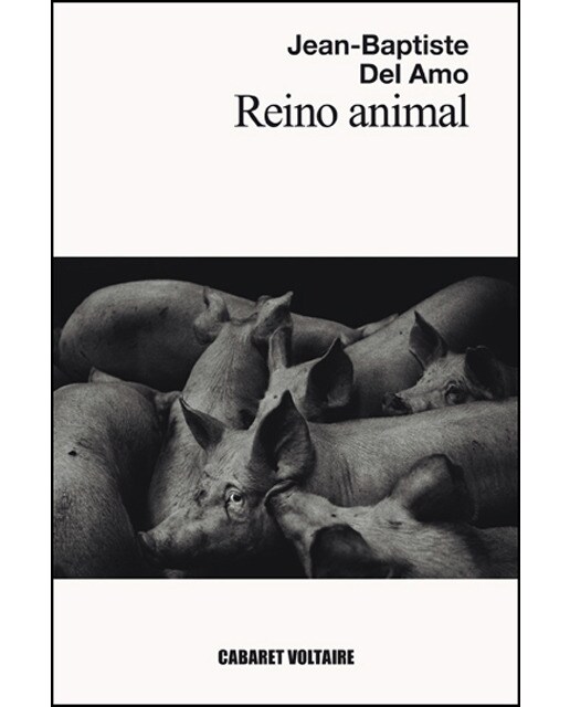 Imagen 0 de Reino animal