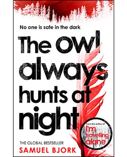 The owl always hunts at night 1