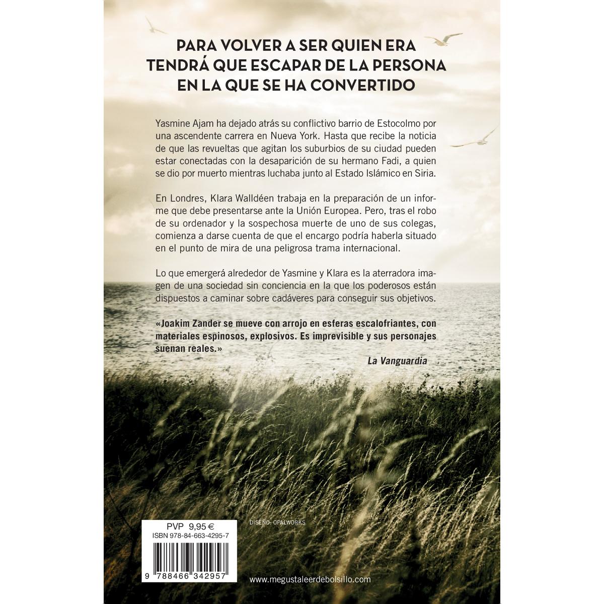 El hermano (Tapa blanda Bolsillo) 2